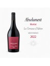Absolument Merlot - Les Terrasses D'Adrien - Méditerranée 2022