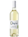 VINFINPASCHER | L'Opaline - La Rose des Vents - Côteaux Varois en Provence 2023 en déstockage -60%