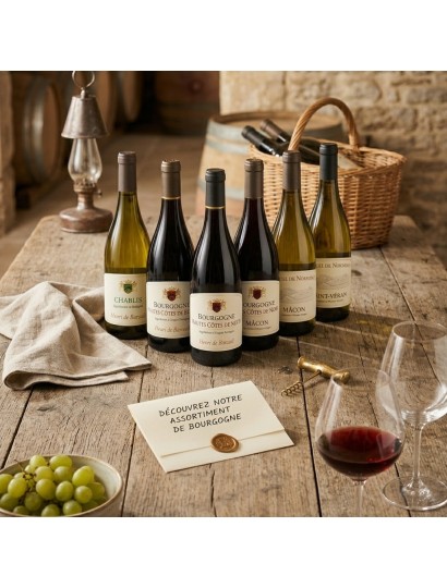 Assortiment de 6 Bourgogne